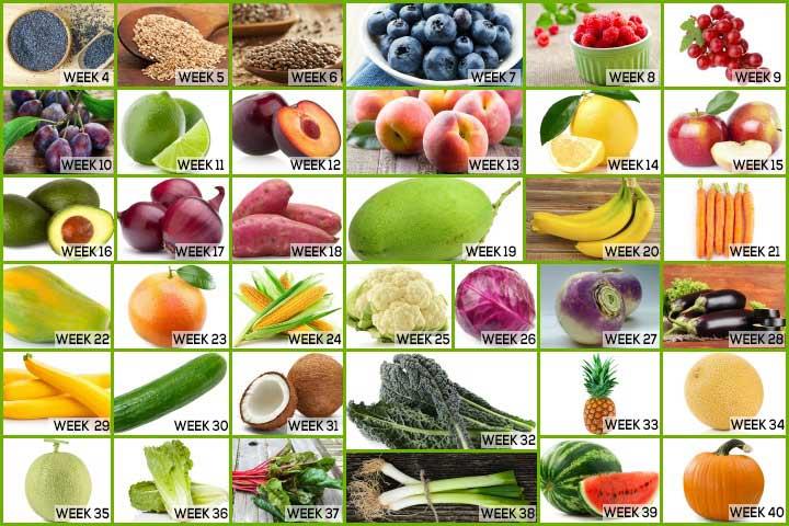How Is Your Baby Week By Fruit Comparison Fruit Comparison