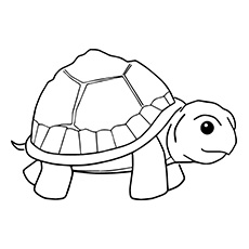 The Smart Turtle, Turtle Coloring Pages