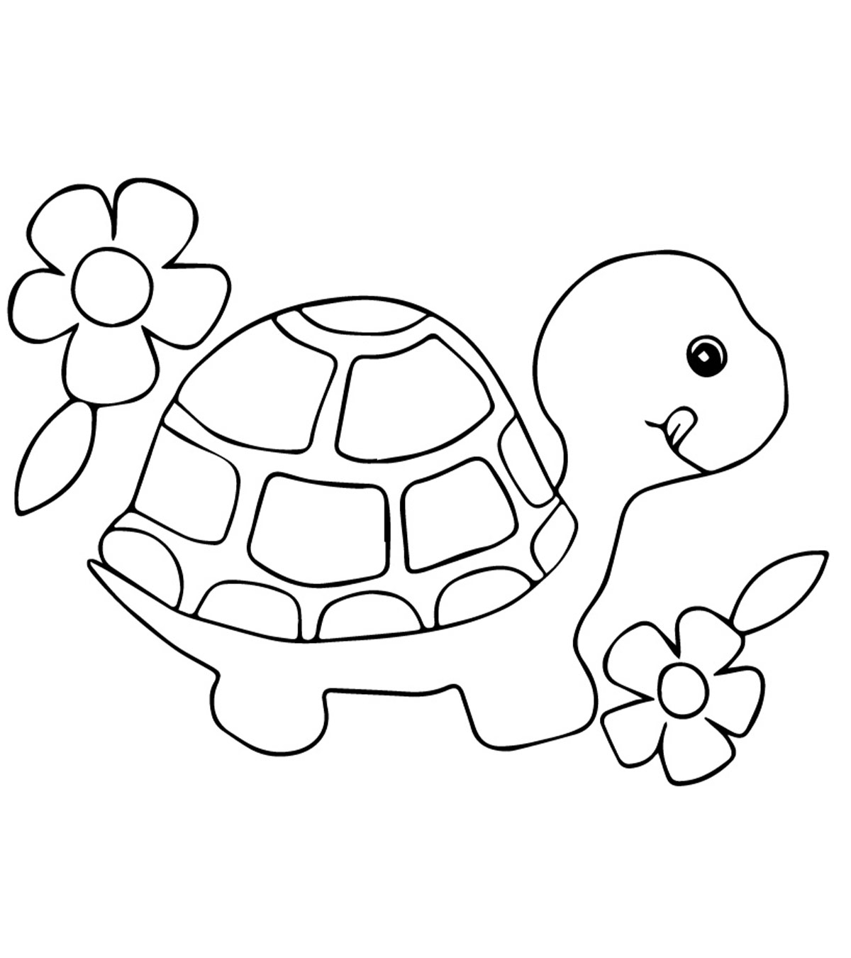 Top 20 Turtle Coloring Pages Your Toddler Will Love To Color