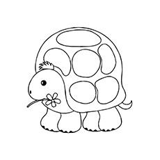 Turtle holding a flower in mouth coloring page