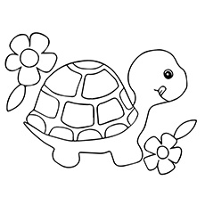 Turtle with flower side by side coloring page