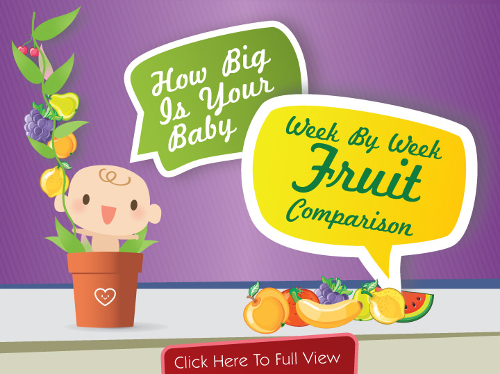 How big is your baby fruit infographic