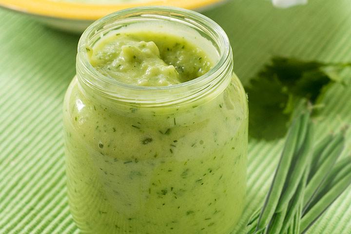 Green Bean Baby Food Puree and Other Recipes