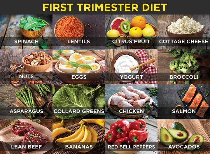 Diet Chart For A Lady In First Trimester