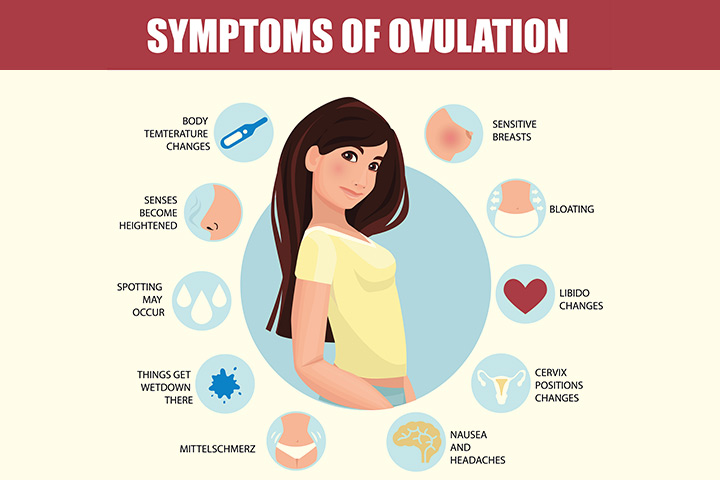 Signs And Symptoms Of Ovulation