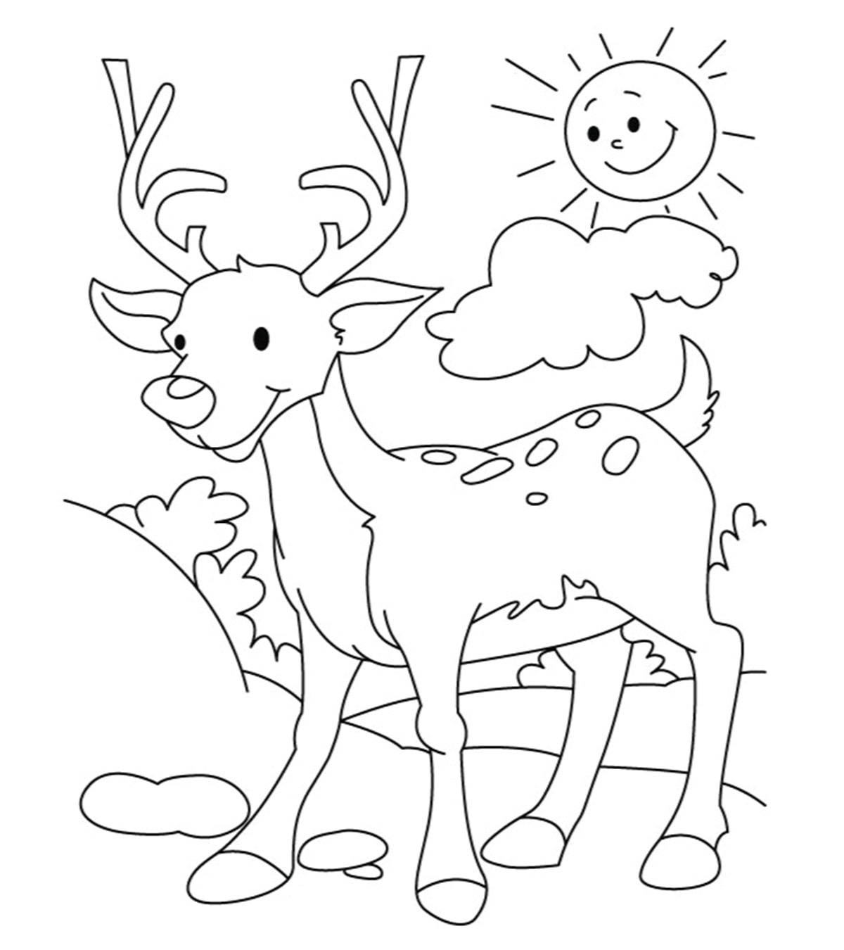 Top 20 Deer Coloring Pages For Your Little Ones_image