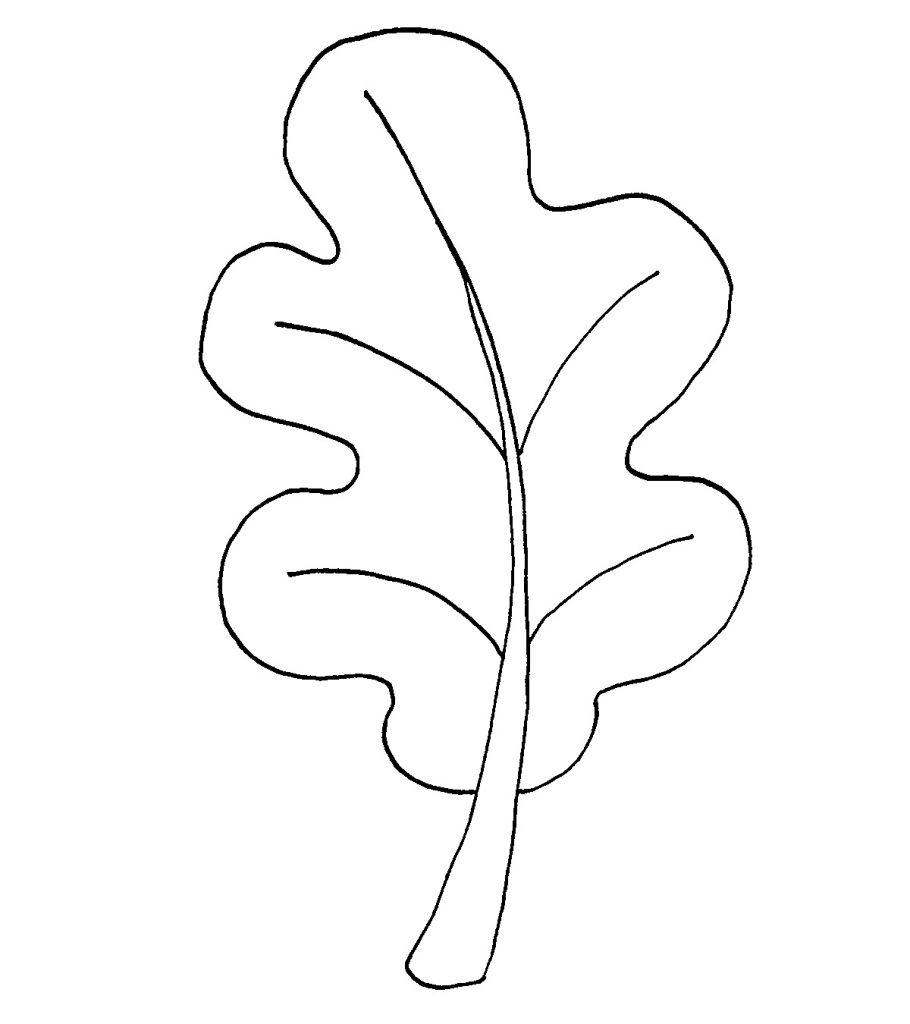 Top 20 Free Printable Leaf Coloring Pages Online