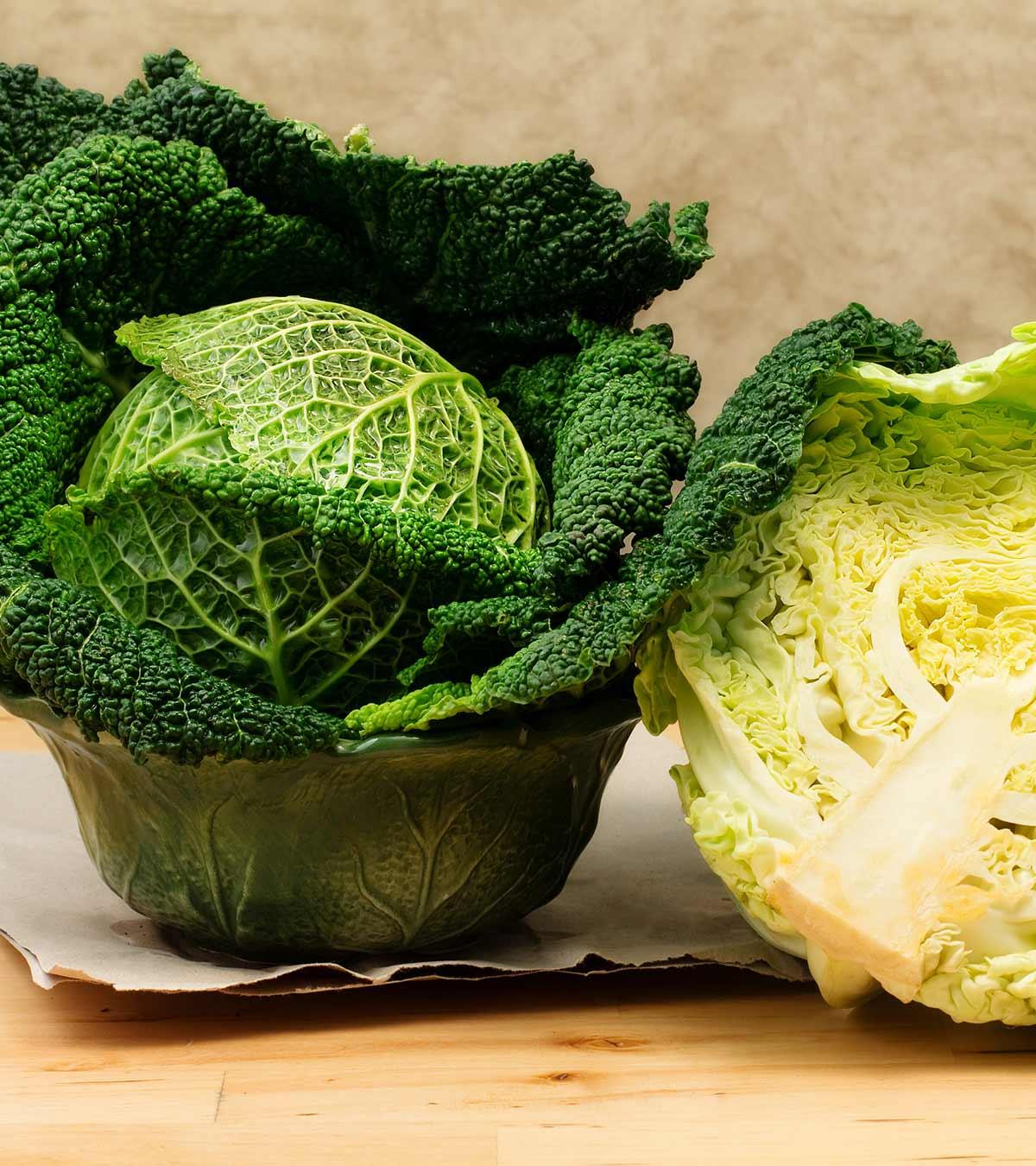 Cabbage For Babies