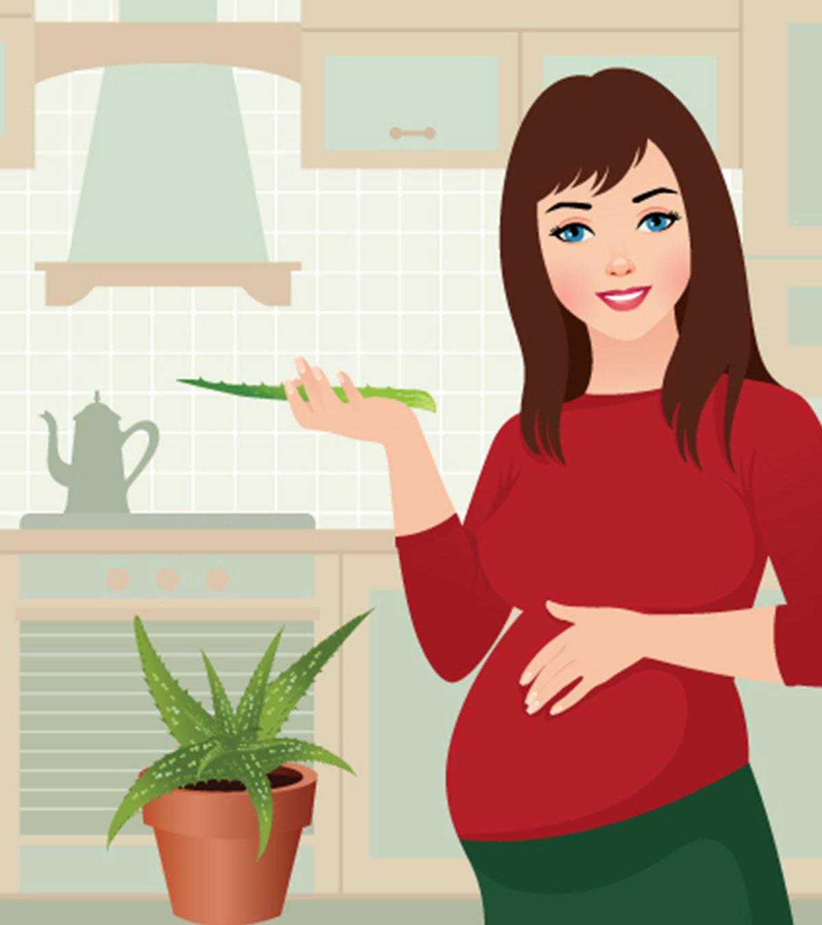 Benefits Of Aloe Vera In Pregnancy