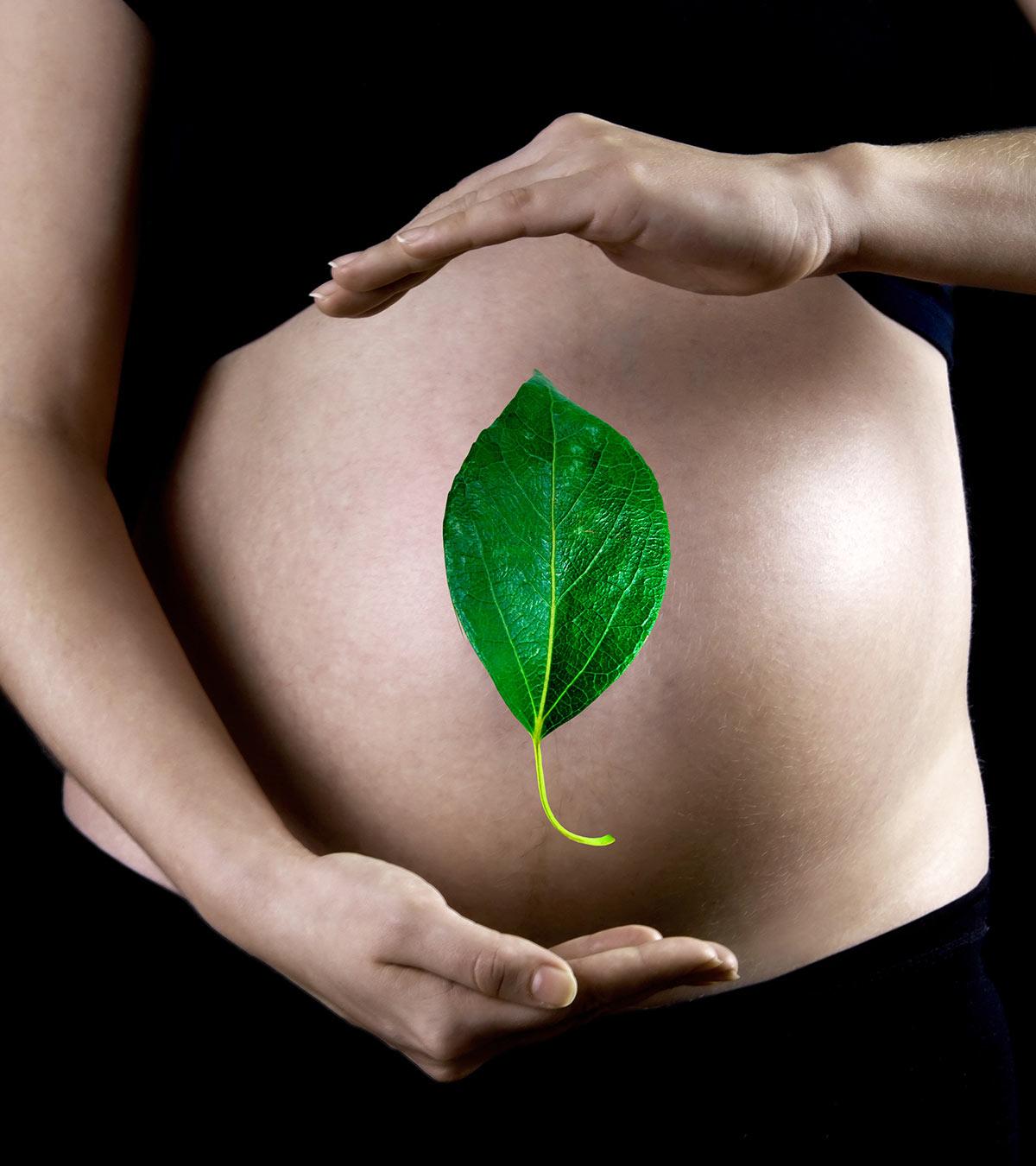 Is It Safe To Eat Betel Leaves During Pregnancy?