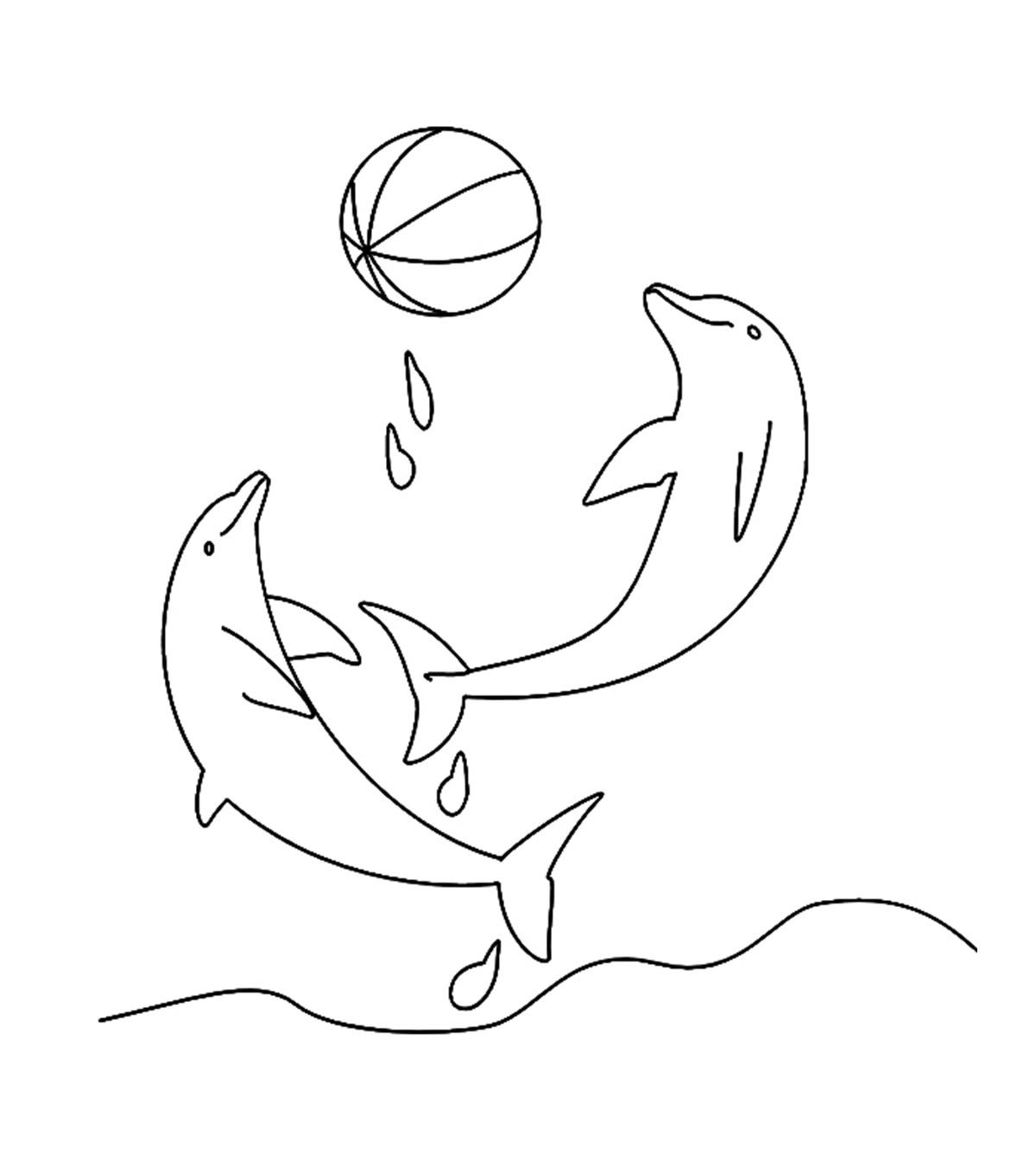 Top 20 Free Printable Dolphin Coloring Pages For Young Kids_image