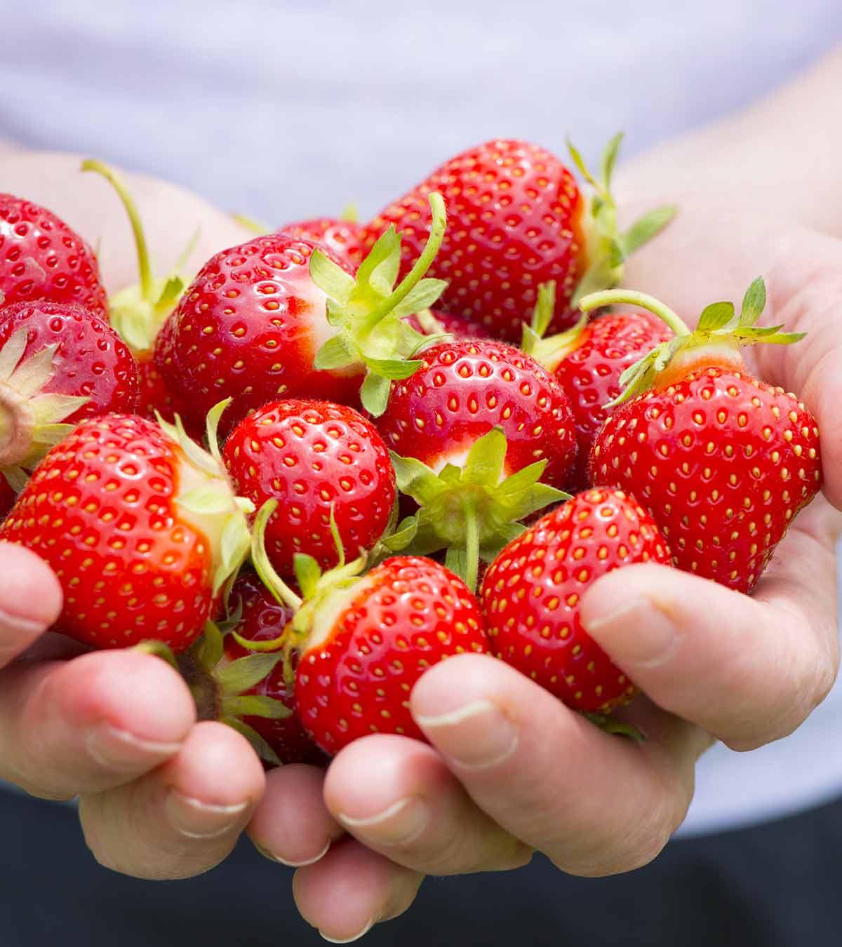 A girl holds lots of strawberries