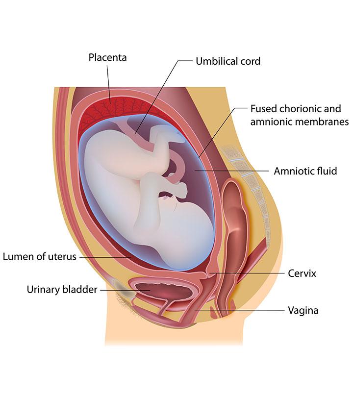 Have you ever experienced a sudden gush of fluid from your vagina? Discharge  from the vagina can be completely normal even when it seem