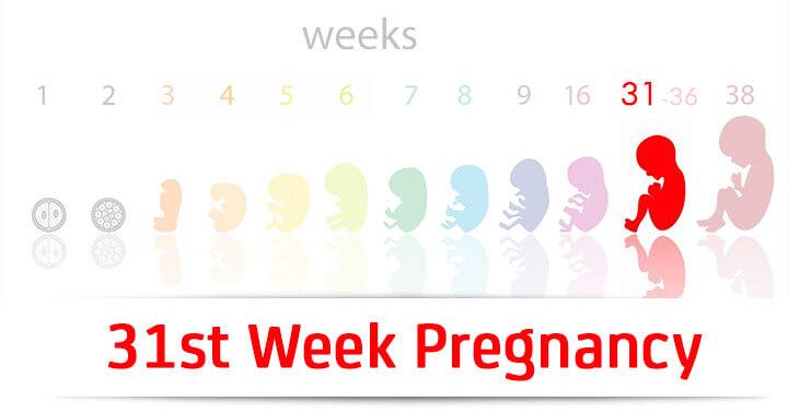 31st Week Pregnancy: Symptoms, Baby Development And Body Changes