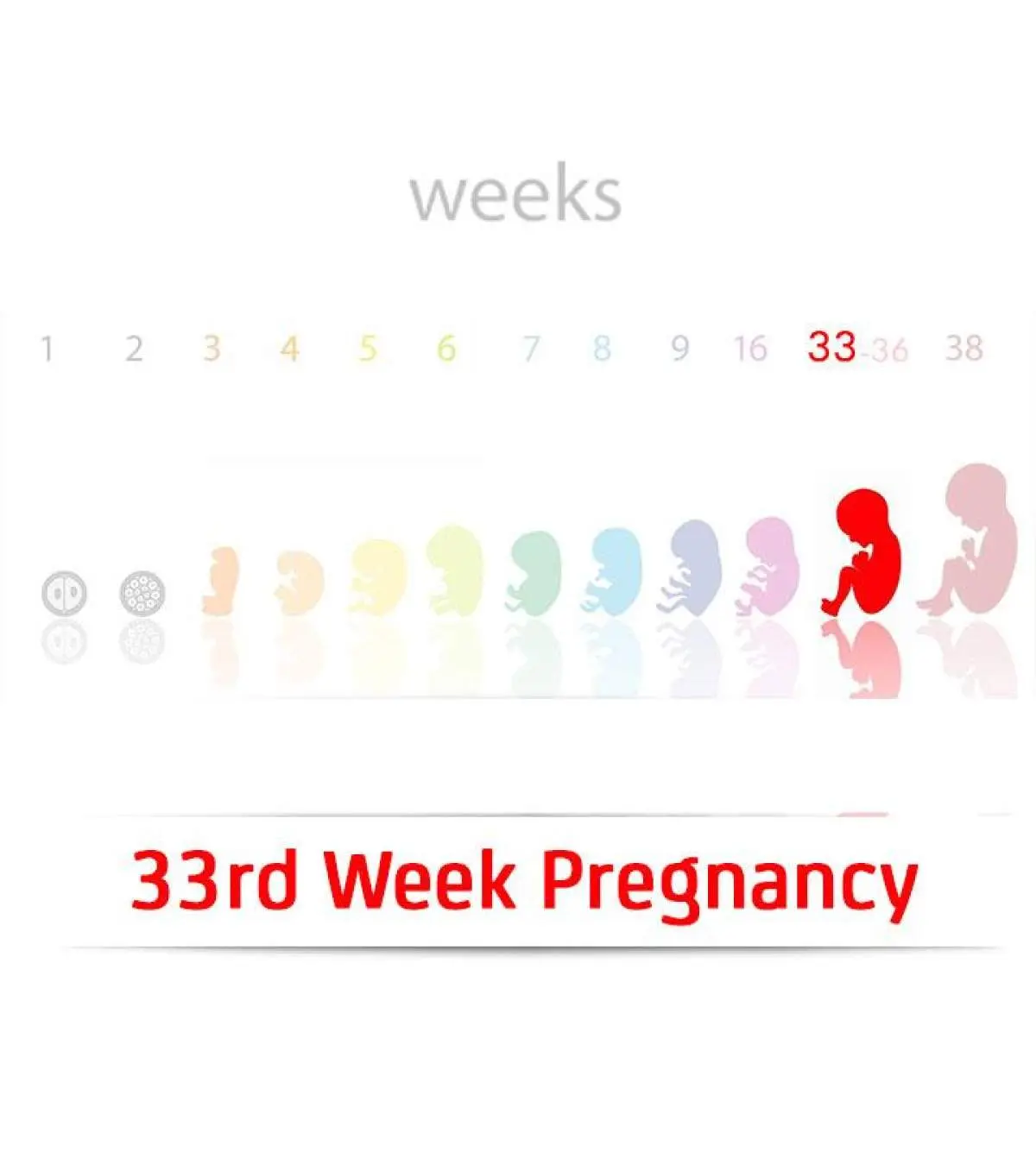 33 Weeks Pregnant Complete Guide To Baby Development & Symptoms