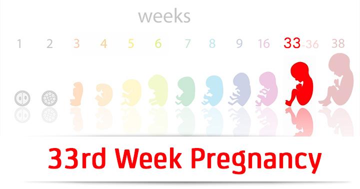 33rd Week Pregnancy Symptoms Baby Development And Bodily Changes 33rd Week Pregnancy