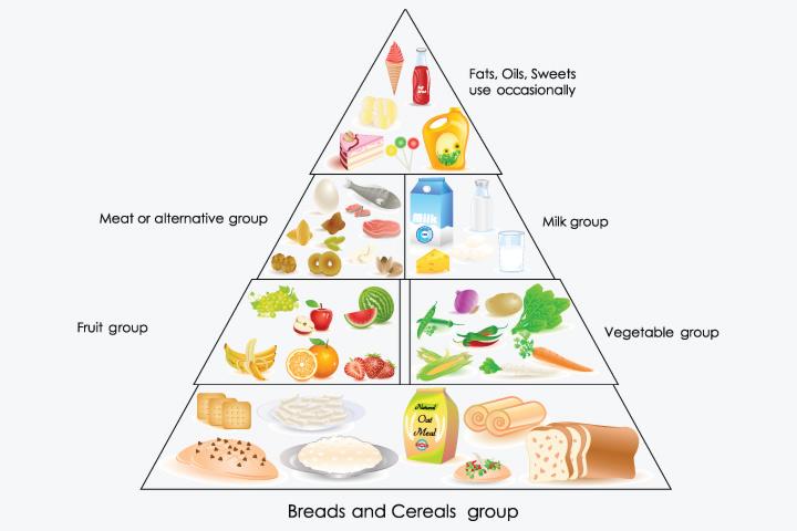 Balanced Diet Chart For Toddlers A Complete Guide balanced-diet-chart-for-toddlers-a-complete-guide