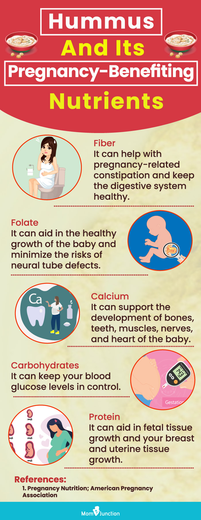 hummus and its pregnancy benefiting nutrients (infographic)
