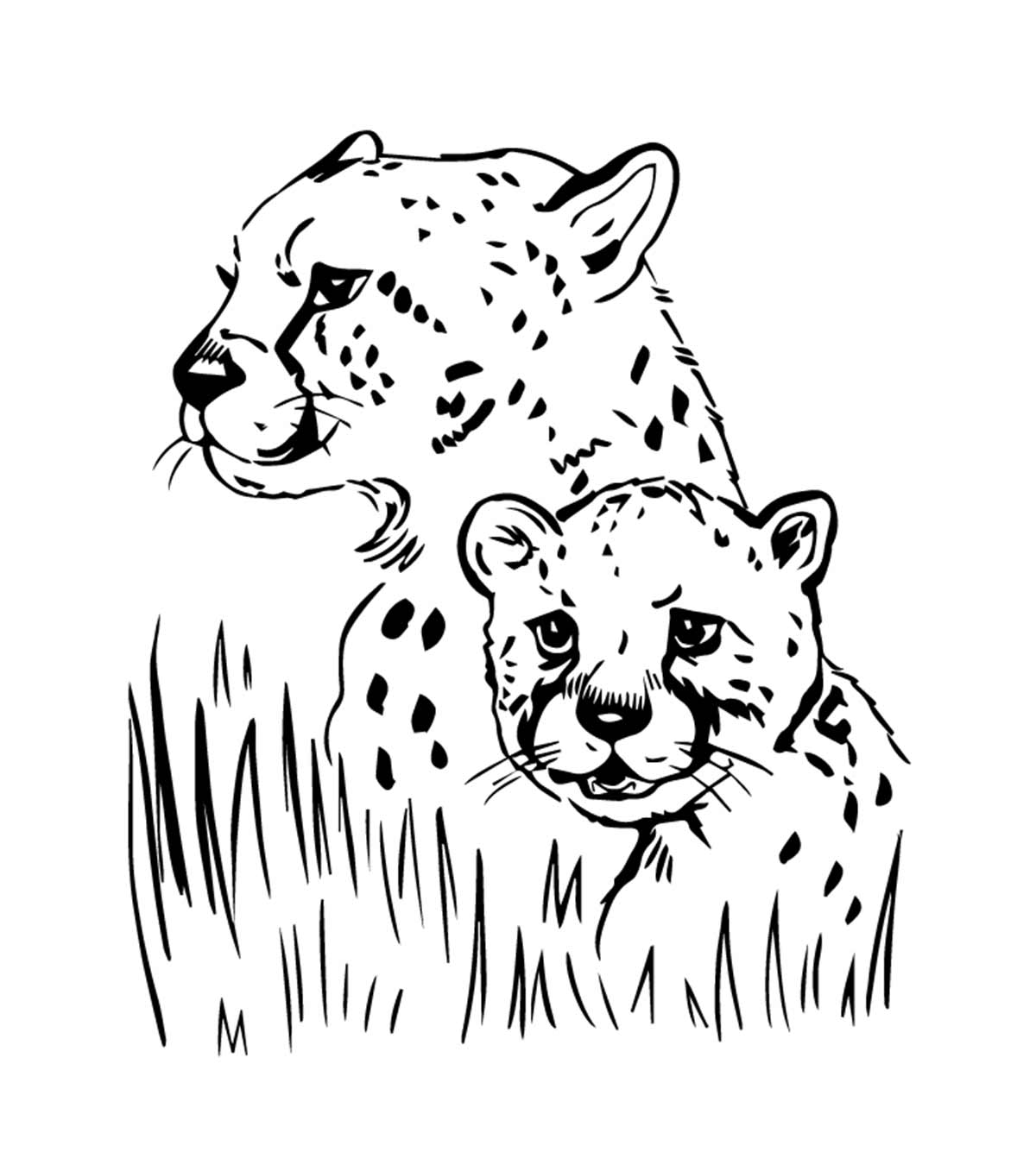 10 Best Jaguar Coloring Pages For  Little Ones
