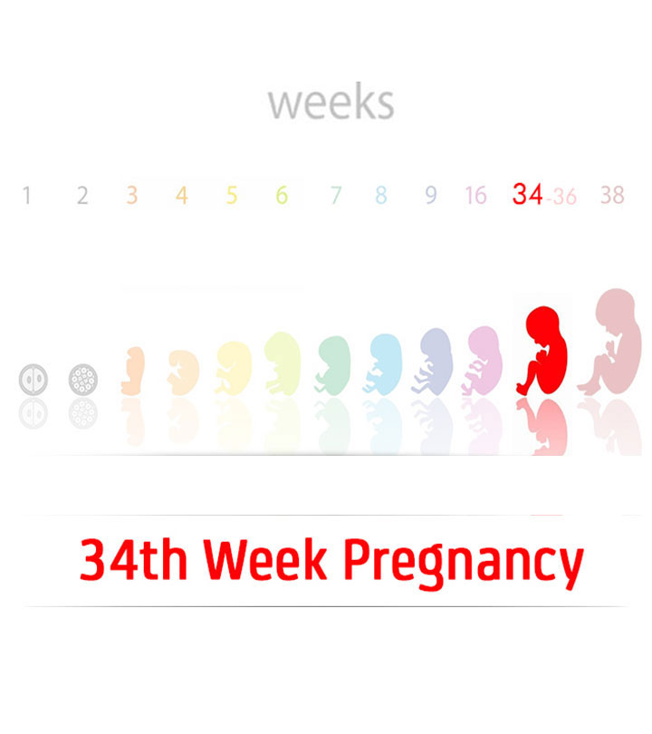 34th Week Pregnancy: Symptoms, Baby Size And Tips