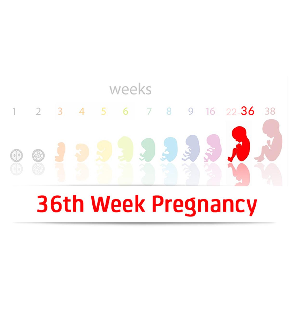 Symptoms Of 36 Weeks Pregnant Woman