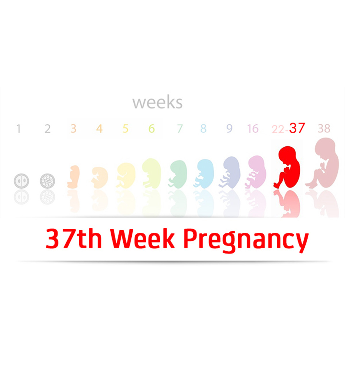 37 Weeks Pregnant: Symptoms, Tips, And Baby Development