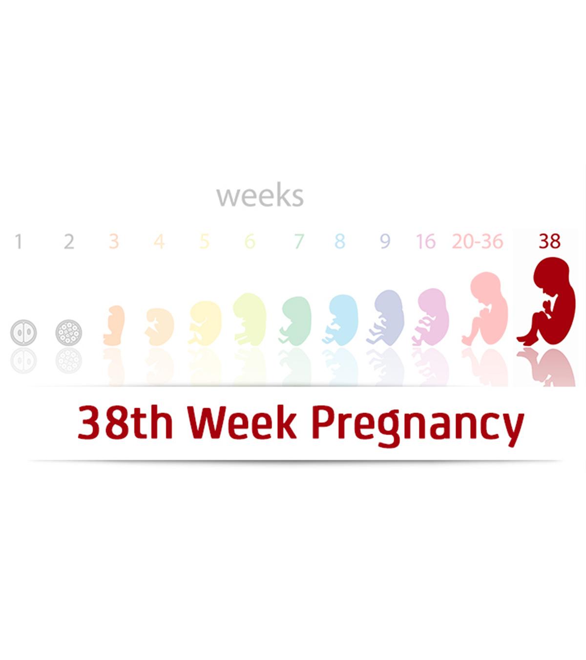 Symptoms Of 38 Weeks Pregnant Woman
