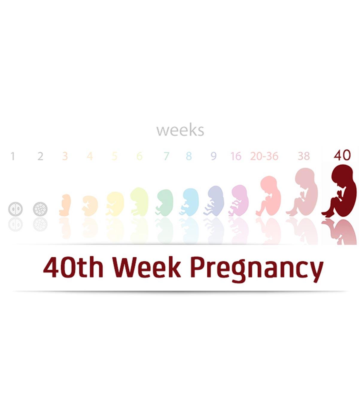 40th Week Pregnancy: Symptoms, Baby Development And Tips