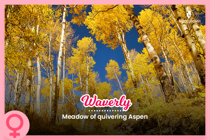 Waverly means a meadow of quivering Aspen