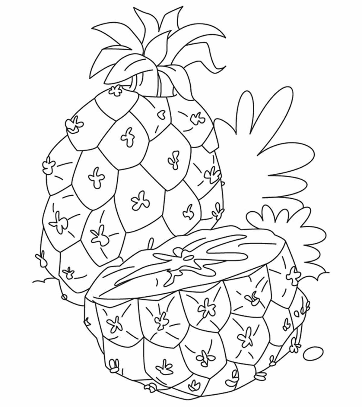 5600 Top Multiple Apple Coloring Pages  Images