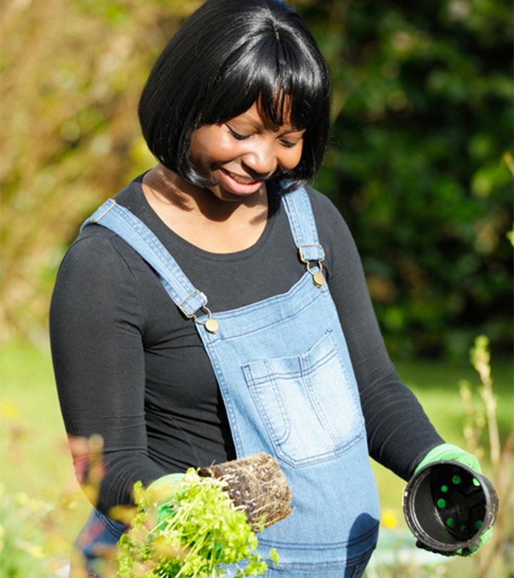 A Pregnant Woman Holding Parsley