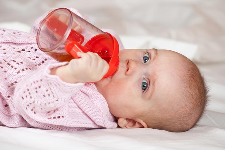 Sippy Cup (Pink Pomegranate)