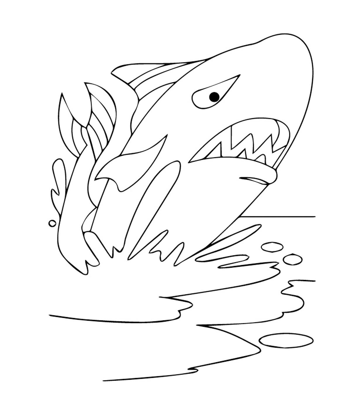 20 Printable Whale Coloring Pages Your Toddler Will Love_image