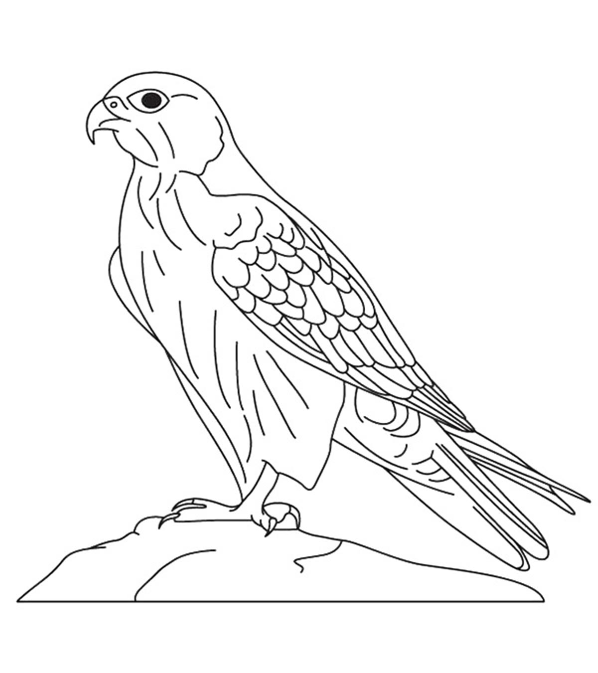 10 Printable Falcon Coloring Pages For Toddlers_image