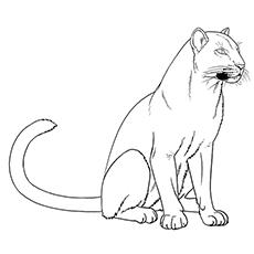 10 Black Panther Animal Coloring Page: Unleash Your Inner Artist