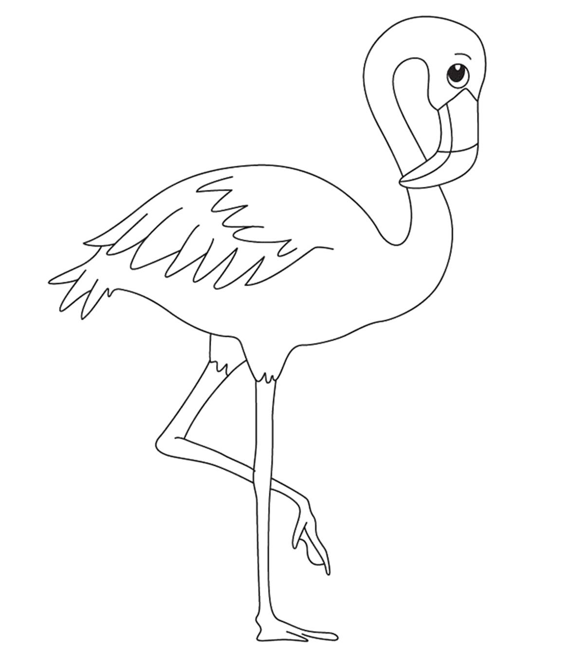 Top 10 Flamingo Coloring Pages For Toddlers