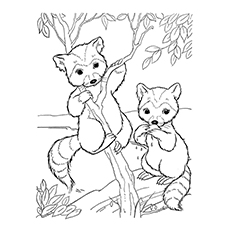 Baby raccoons climbing the tree, raccoon coloring page