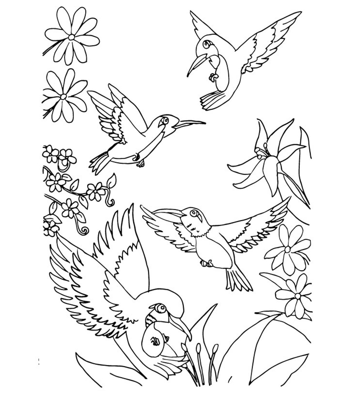 Top 10 Humming Bird Coloring Pages For Your Toddler