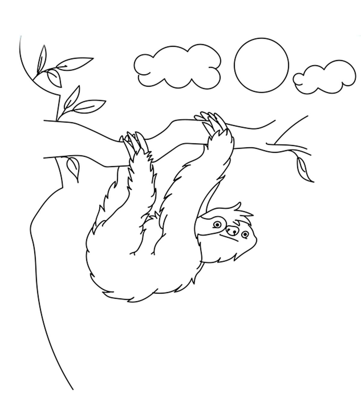 Top 10 Sloth Coloring Pages For Your Toddler_image