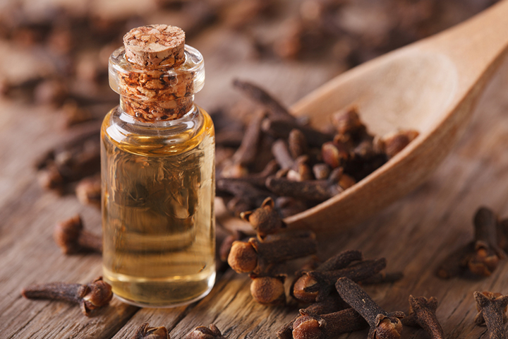 Clove bud oil is suitable for babies older than two years