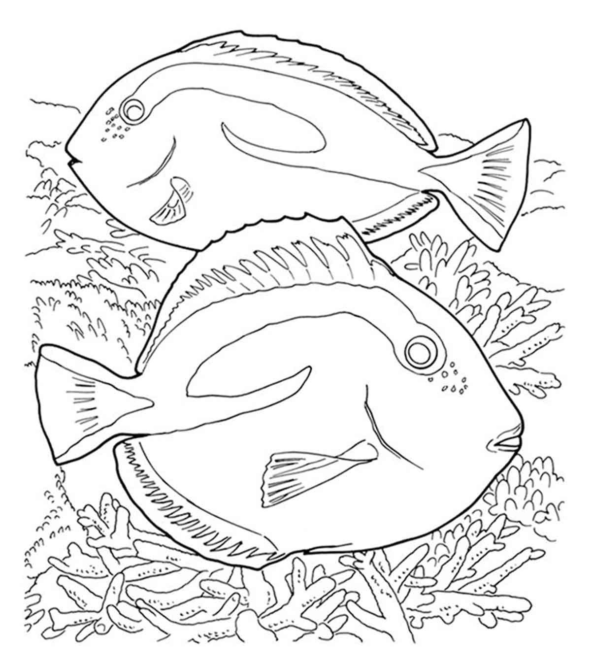 Top 10 Coral Coloring Pages For Toddler