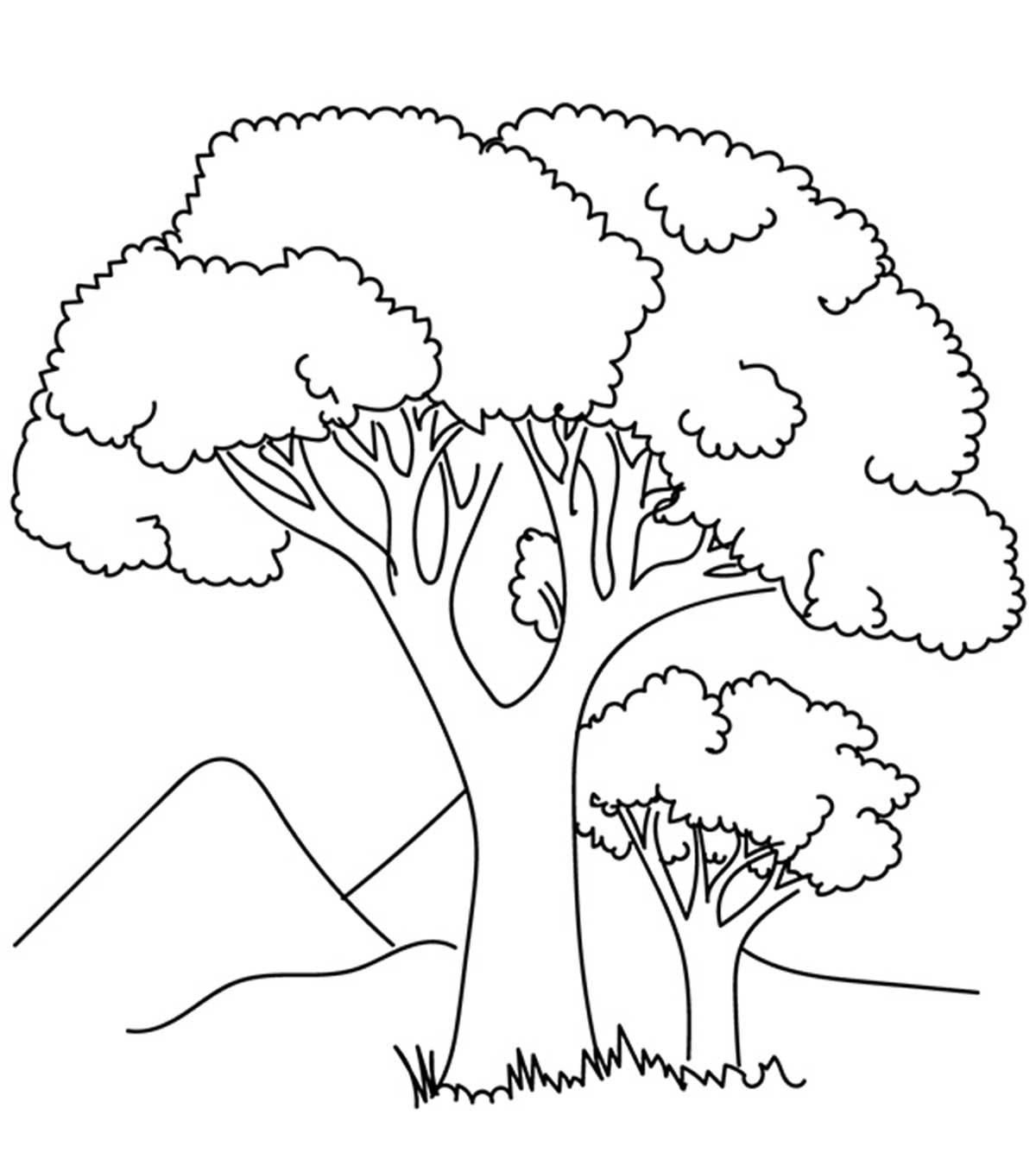 Top 25 Tree Coloring Pages For Your Little Ones