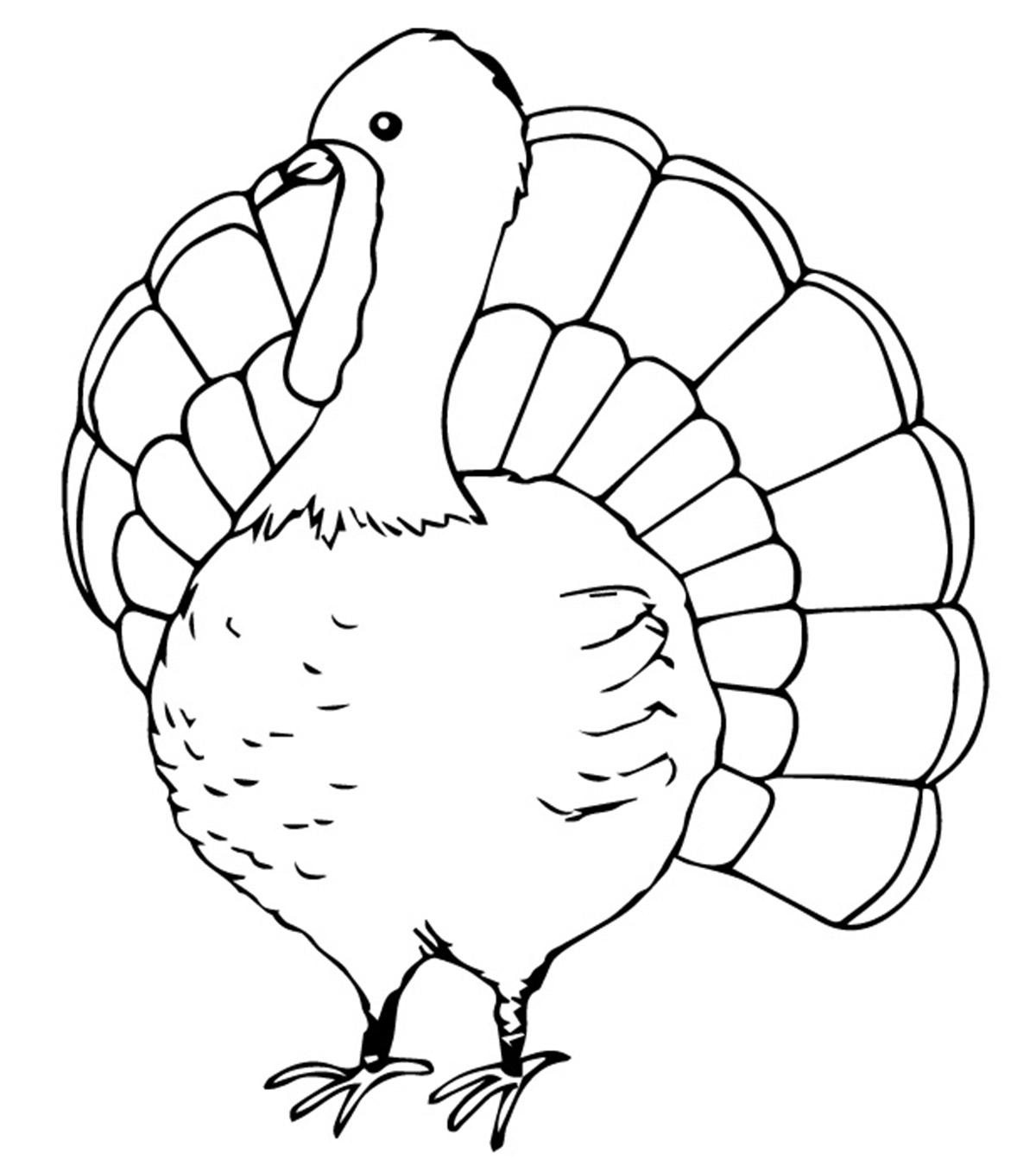 Top 25 Turkey Coloring Pages For Toddlers_image