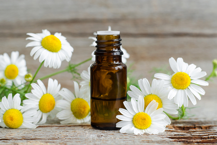 Topical application of chamomile extract could relieve teething pain