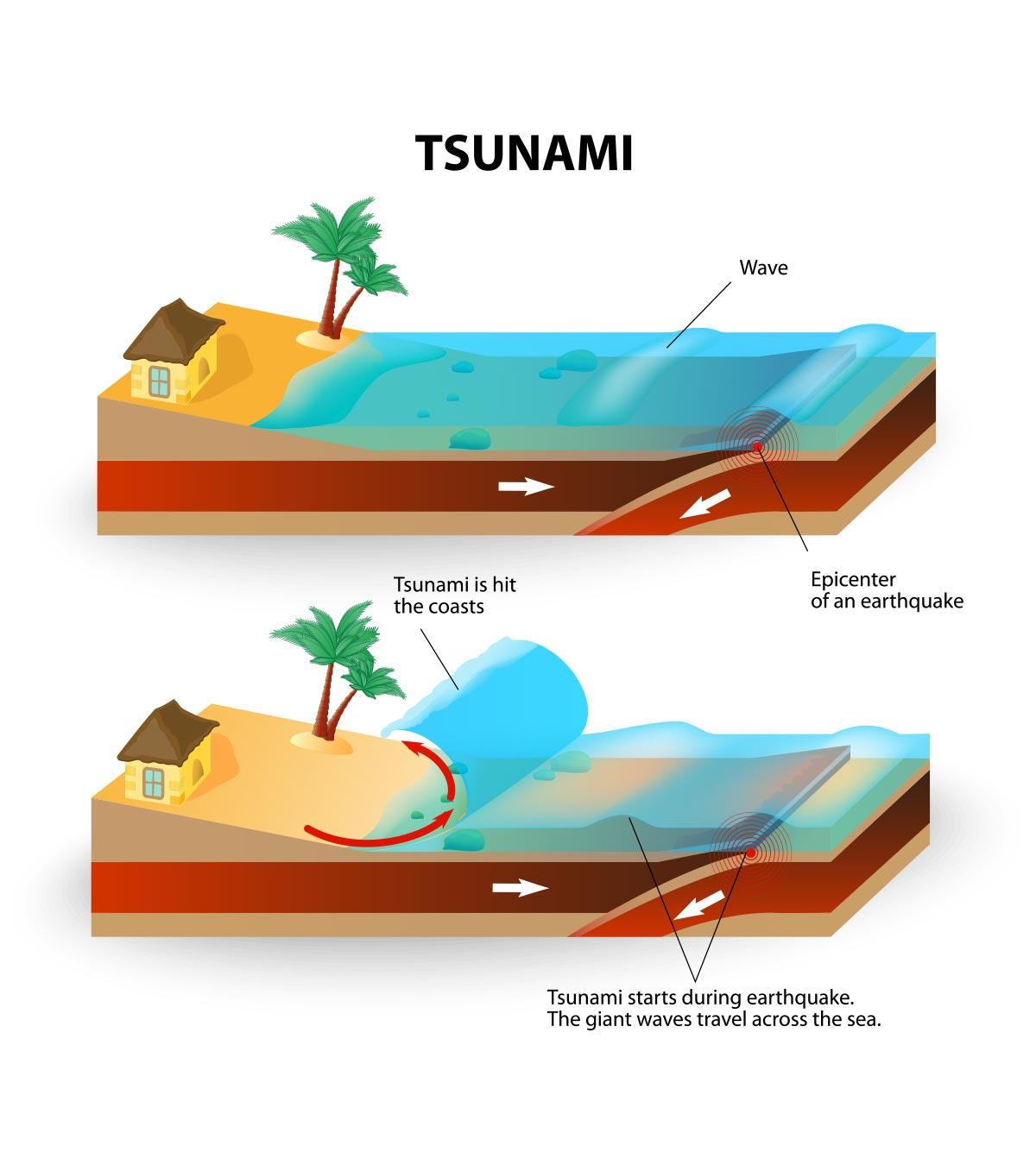 How tsunami happens