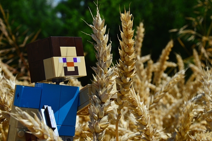 Minecraft farmers