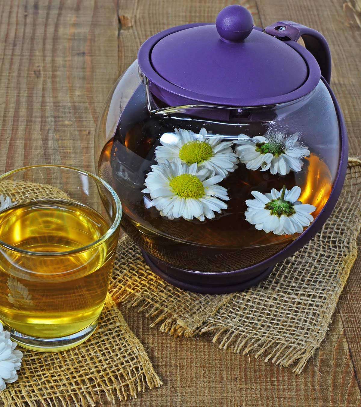 Is It Safe To Drink Chrysanthemum Tea During Pregnancy?