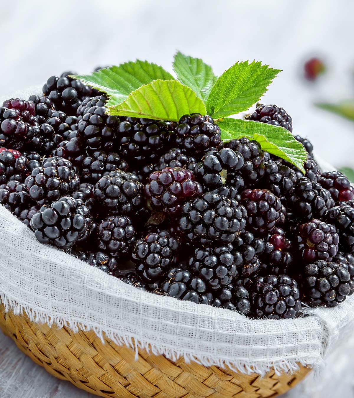 Benefits Of Blackberries In Pregnancy