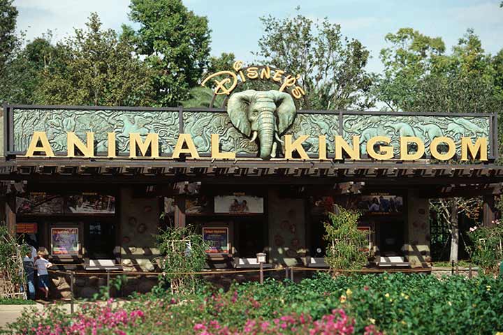 Theme Parks In USA - Disney’s Animal Kingdom, Orlando
