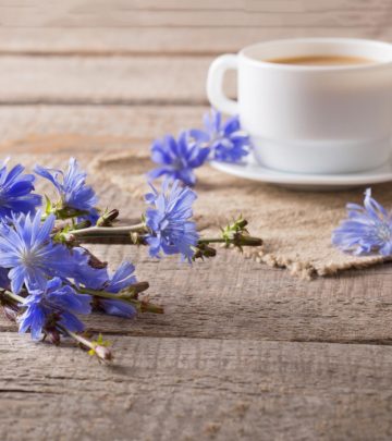 Is It Safe To Eat Chicory During Pregnancy?